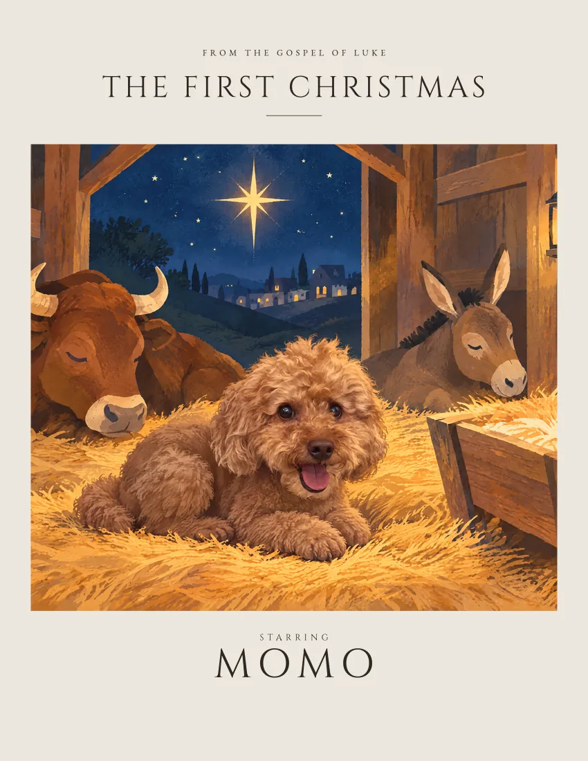 The First Christmas cover